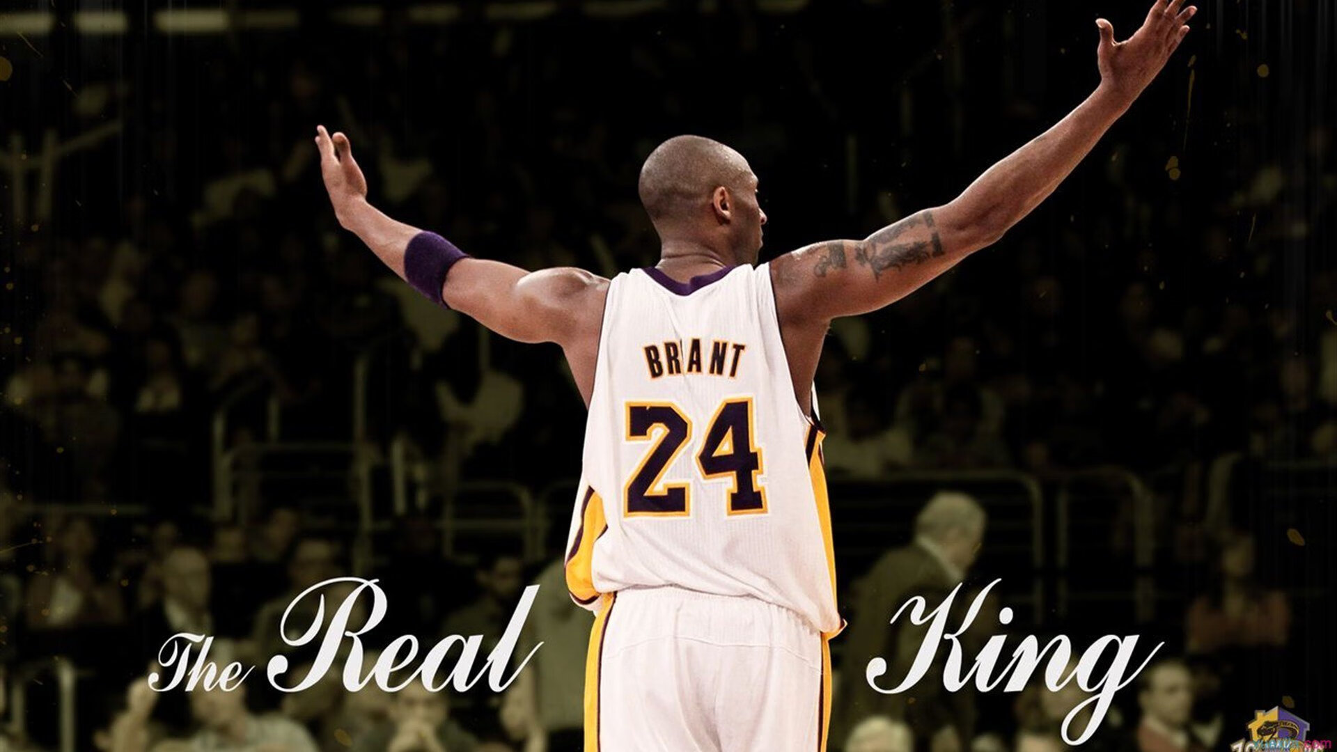 女子200自赛场美队强势包夹澳洲